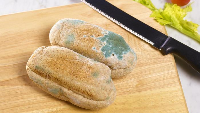 کدام خوراکی کپک زده را می توانیم بخوریم و کدام را نمی توانیم؟
