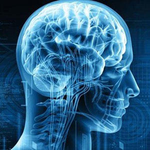ثبت همزمان خاطرات در حافظه کوتاه مدت و بلندمدت اثبات شد