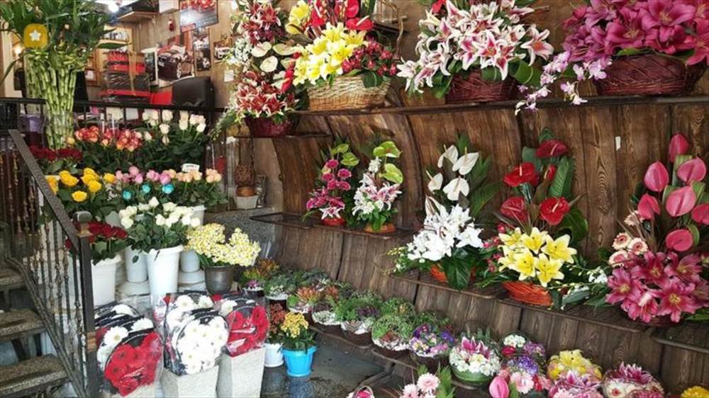 گل سرای نارسیس