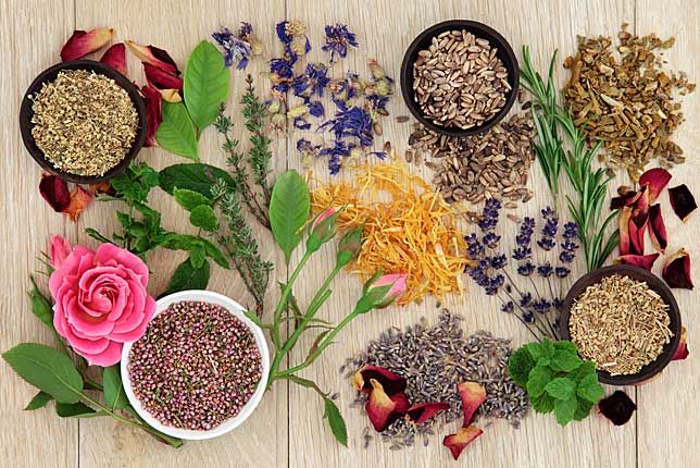 فرآورده های گیاهی سنتی آراد