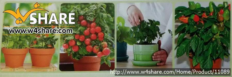 پک شماره 3 باغ فدک