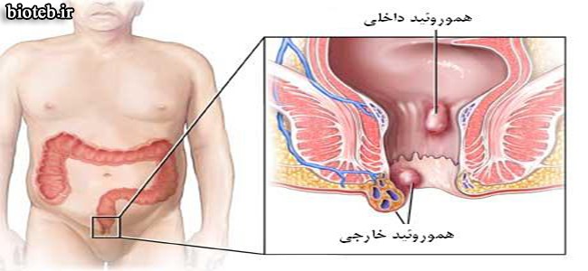 دکتر علی اکبری تابش | متخصص داخلی