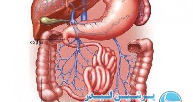 دکتر جواد زینالی | متخصص داخلی