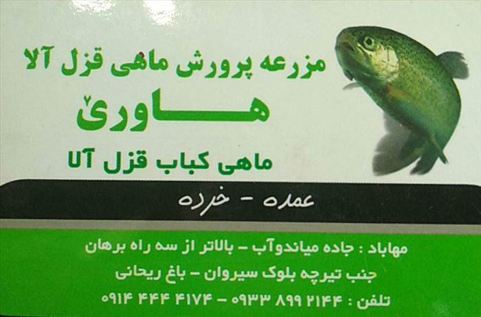 مزرعه پروش ماهی  قزل آلا هاوری