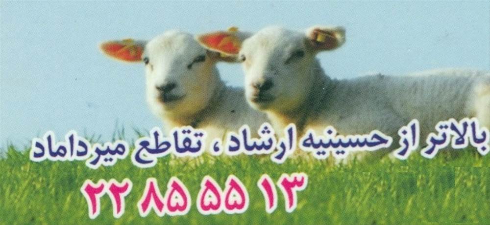 طباخی بره ناقلا