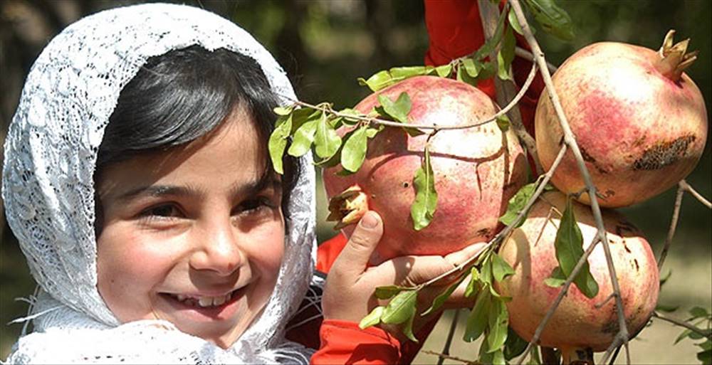 بنیاد کودک | نمایندگی مهاباد