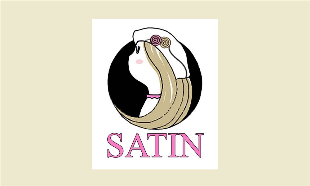 کارگاه عروسک سازی ساتین | SATIN