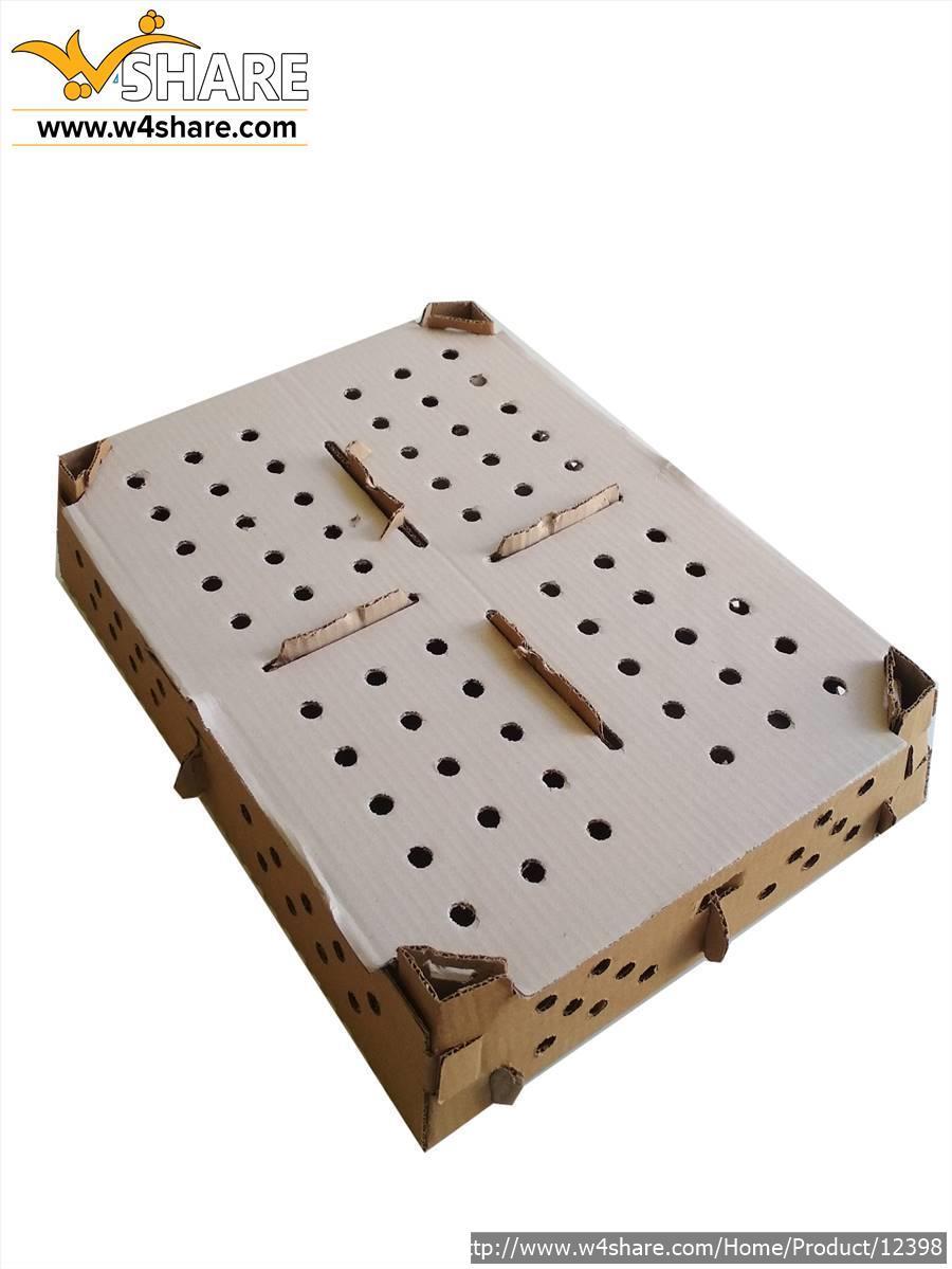 جعبه حمل جوجه یکروزه