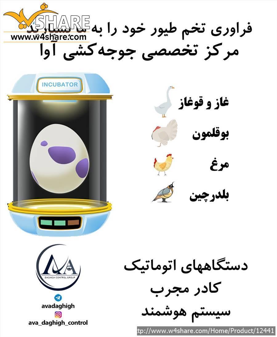 فرآوری تخم طیور