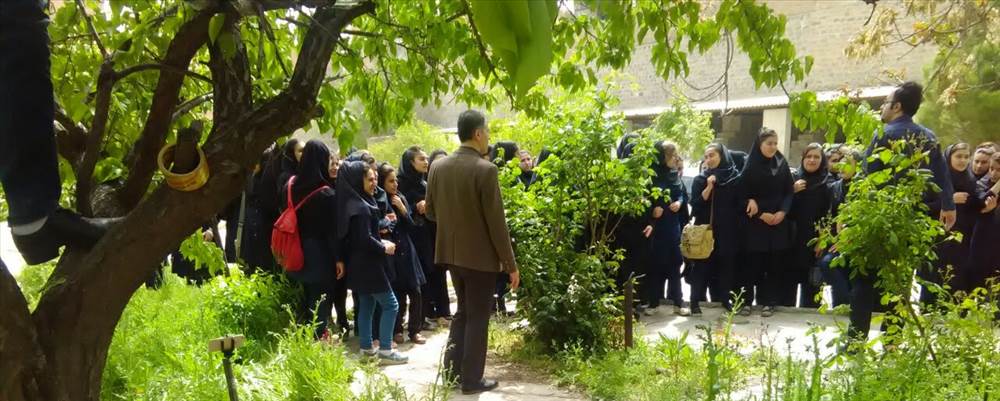 دانشگاه جامع علمی کاربردی مهاباد 3