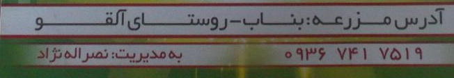 مزرعه پرورش شتر مرغ آذر صبا