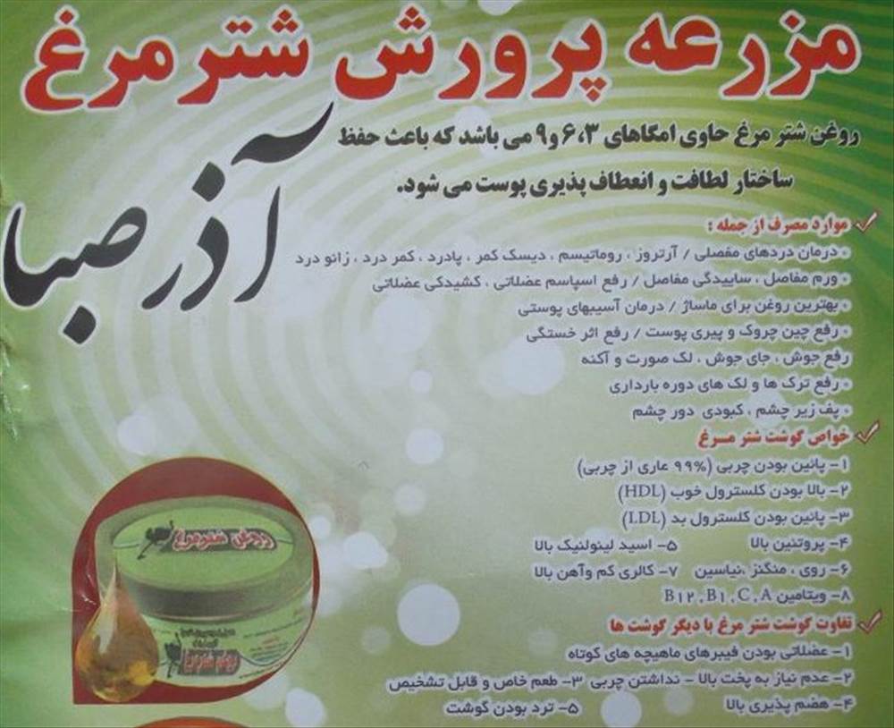 مزرعه پرورش شتر مرغ آذر صبا