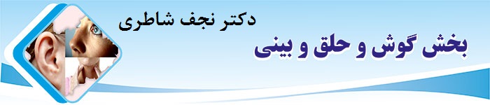 دکتر نجف شاطری|متخصص گوش و حلق و بینی|ENT