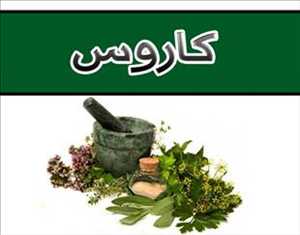 گیاهان داروئی کاروس