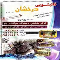 قالیشویی درخشان