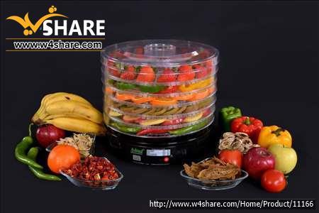 میوه خشک کن اشتاد ashtad