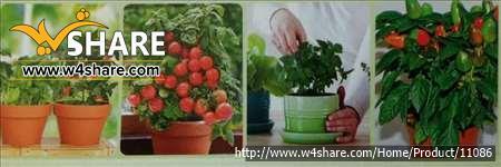 پک شماره یک باغ فدک