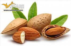 فروش بادام کاغذی