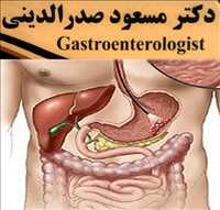 دکتر مسعود صدرالدینی - فوق تخصص گوارش